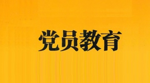 持续推动党员教育走深走实典型材料