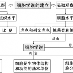 生物教案：细胞是生命活动的基本单位