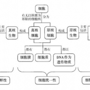 生物教案：细胞的多样性和统一性