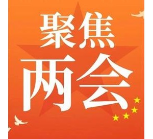 传达学习2024年全国“两会”精神大会上的讲话材料