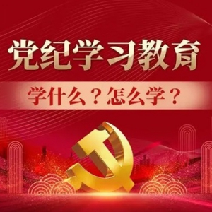 党纪学习教育学习计划制定