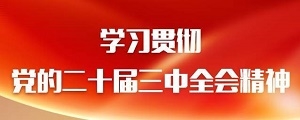 二十届三中全会精神学习宣传方案