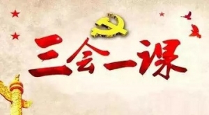 2024年8月党支部“三会一课”方案