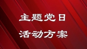 2024年8月份主题党日活动工作方案